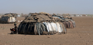 3317132339_fbfd77a60b_b