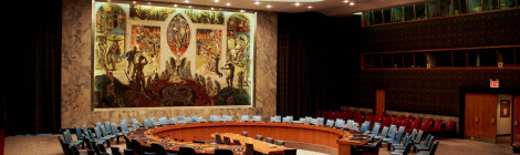 Climate Security Council?