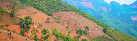 Patchwork mountain landscape of agriculture, forestry, and deforested terrain, Tianlin County, Guangxi Zhuang Autonomous Region, China. Source: CIFOR (Flickr)