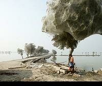 Climate Adaptation, Development, and Peacebuilding in Fragile States - Finding the Triple-Bottom Line