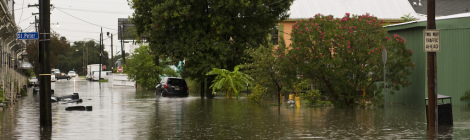 webpost 6 louisiana large