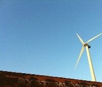 Selling Nature to Save Nature, and Ourselves