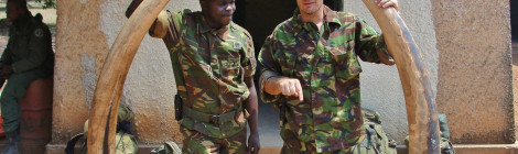 Enough Project Ivory