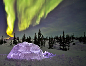 iglo-arctic