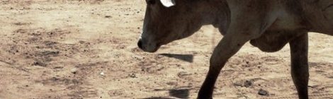 Mandera Triangle Article Big