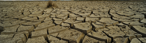 mongolian-development-bank