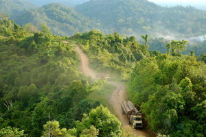 trucks carrying logs in Gunung Lumut, Kalimantan Timur, Indonesia, November 2005. Source: CIFOR (Flickr)
