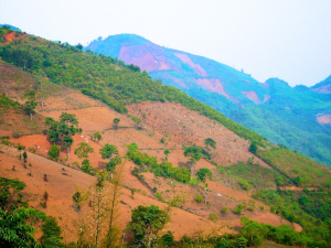 Patchwork mountain landscape of agriculture, forestry, and deforested terrain, Tianlin County, Guangxi Zhuang Autonomous Region, China. Source: CIFOR (Flickr)